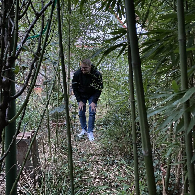 Inhaber Mathias bei der Begehung eines Kundengartens, wo Bambus wild gewachsen ist und man kaum das Ende des Gartens sehen kann